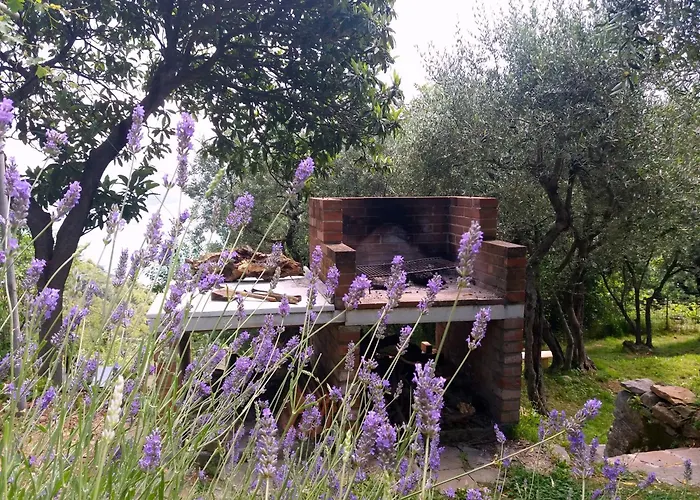 Tenuta Di Venere