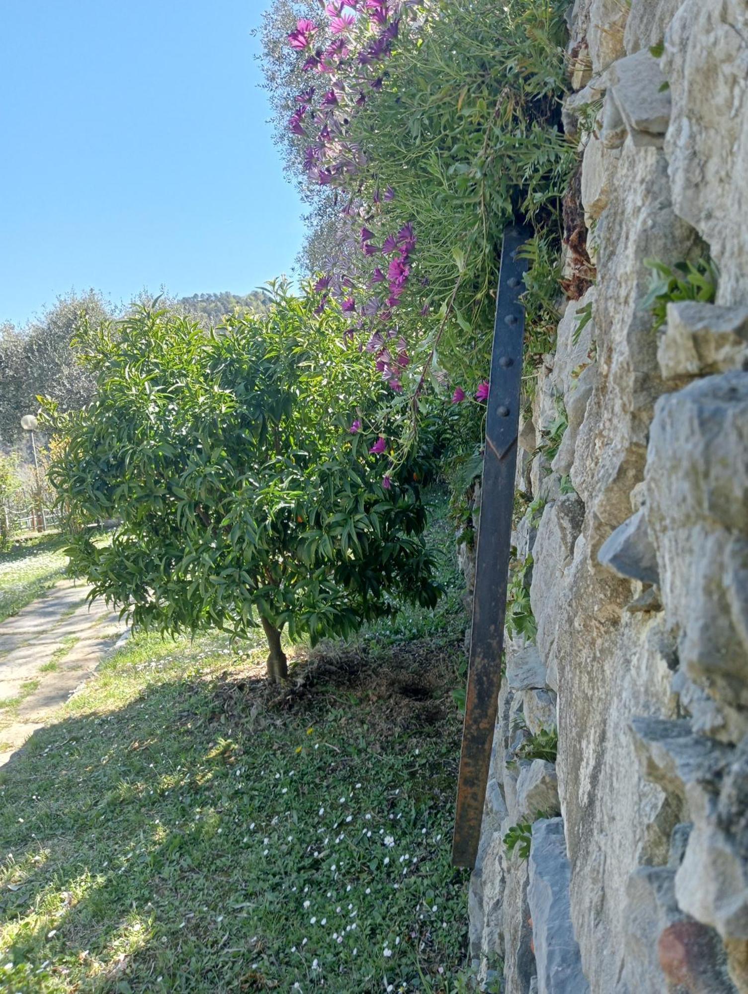 Tenuta Di Venere *