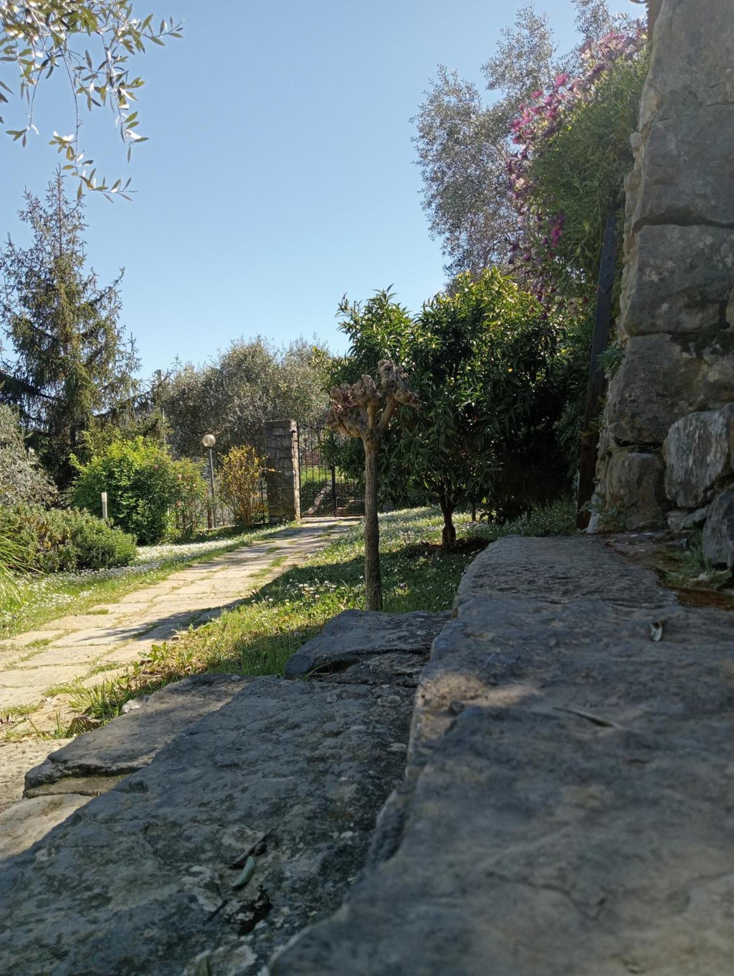 Tenuta Di Venere