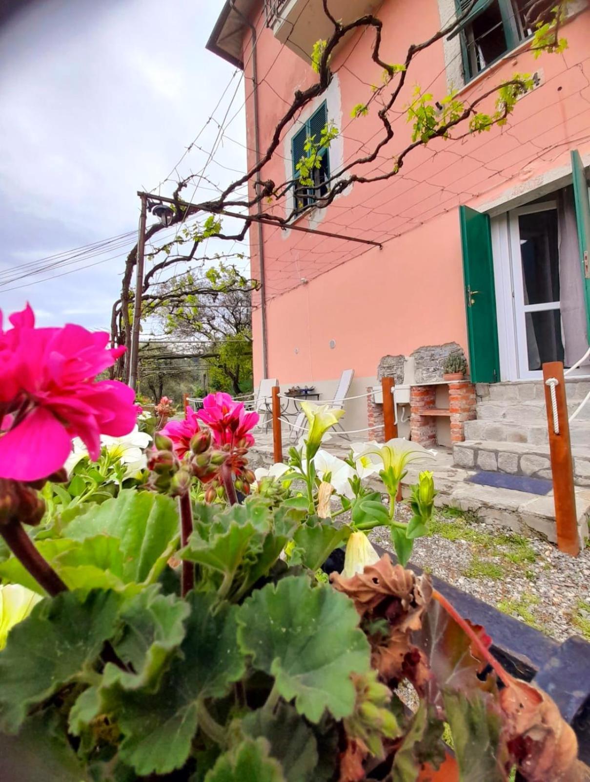 Tenuta Di Venere