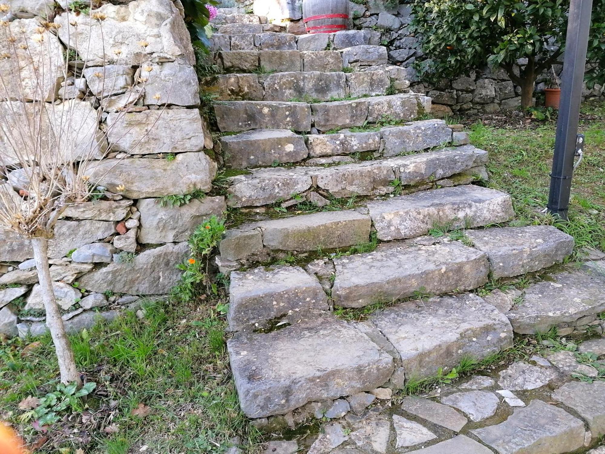 Tenuta Di Venere