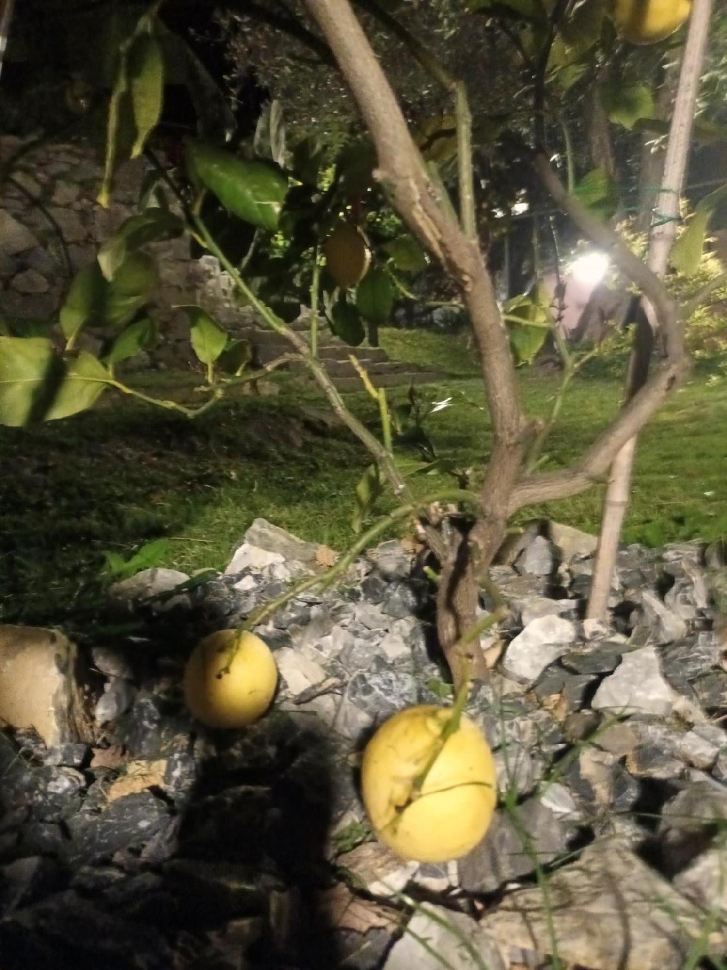 Pensión Tenuta Di Venere
