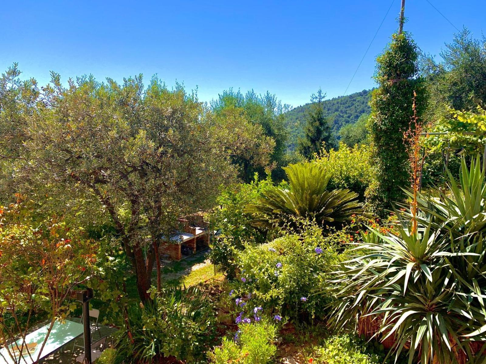 Tenuta Di Venere